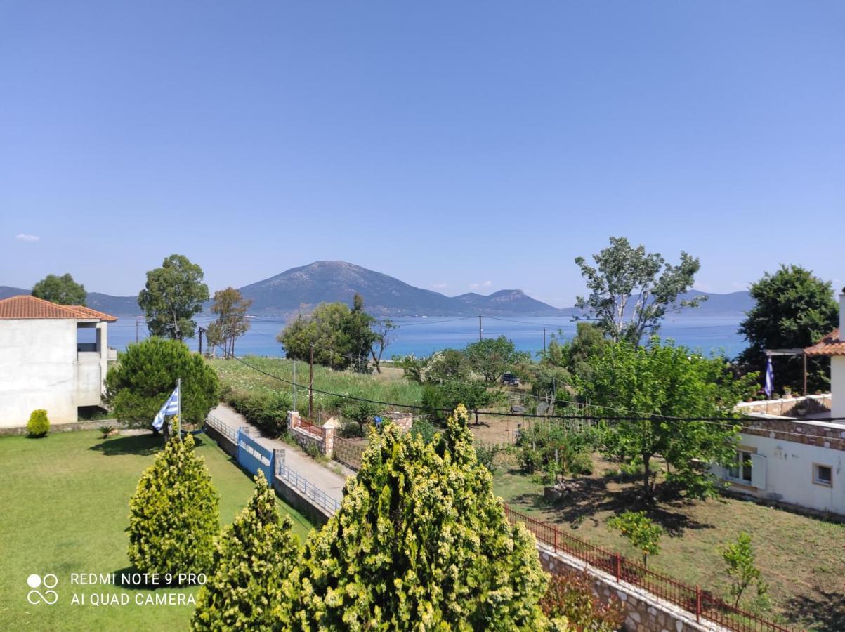 Agiokampos Luxurious Resort Loutra Edipsou  Zewnętrze zdjęcie