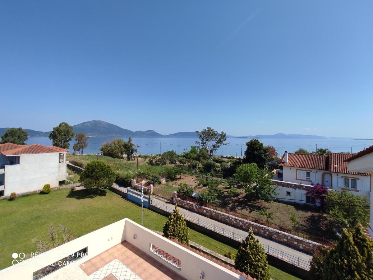 Agiokampos Luxurious Resort Loutra Edipsou  Zewnętrze zdjęcie